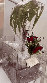 🐠✨ حوض متكامل بلمسة عصرية قطعة ديكور أنيقة تجمع بين جمال الأسماك وأناق...