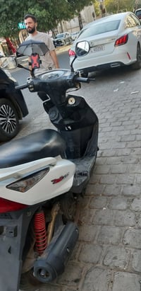 ثعلب • نوزل • خربطه