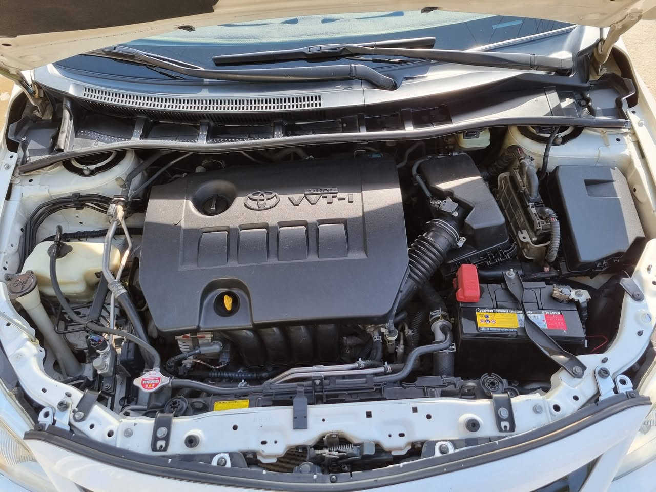 سلام عليكم كورلا خليجي موديل ٢٠١٣ بيه صبغ جاملغ +باب امباوك امامي فقط الباقي مكفول كهربايات كله بلادي بسمي مكاني حي الجهاد او الكظميه الهاتف *********** السعر ١٣٠بيه مجال للشراي
