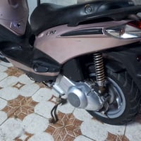 بياجو فلاي • فحل • ١٤٠