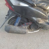 ماكس ثعلب • مرخصة • أصولي