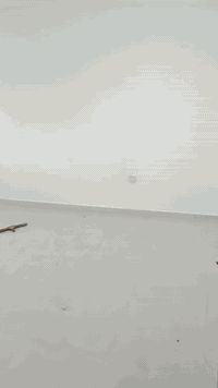 صباغ متفرغ وهذه رقمي ***********
