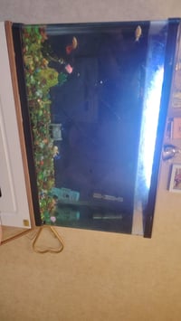 حوض سمك • فلتر • هيتر