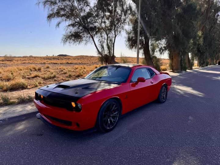 جالنجر 2021 Rt

ماشيه58 الف

حادث سرقه بابين وقبق الجنطه 

حته لا اتعبك ولا اتعبني ابيعلك حزام بس هيه مو حزام

محرك كير كفاله

سياره متعوب عليها

وعليها ادامه كامله

#الاضافات

كزوز كورسا

الداخل كاربون فايبر كامل

برمجه تفريغ

شاشه وعدادات srt

وياله خلفيه فيراده اماميه فيراري

تهبيط حلو 

عليها سستم سماعات بيتس 10سماعه

دفيوزر سكوبات شفقه …

رقم السيارة بغداد مشروع وطني هزه جديده باسمي مداور ثاني يوم

*********** بغداد, العراق
