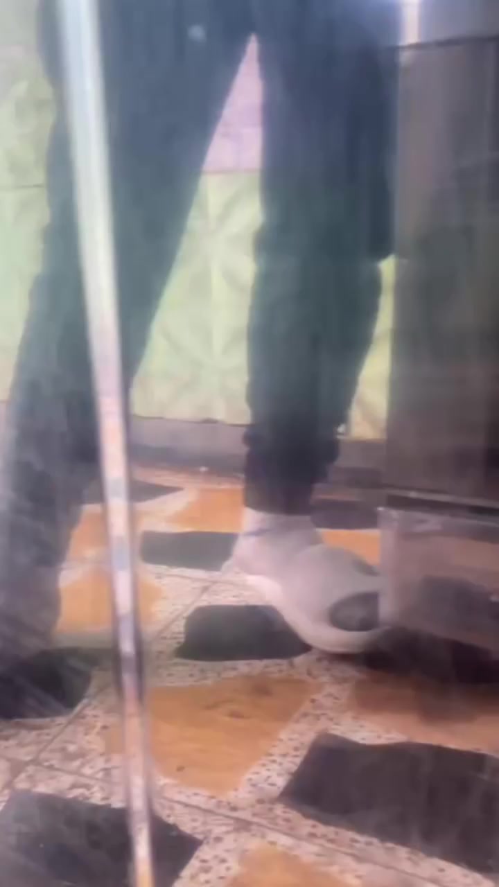 طباخ فريش مصري مجدد بل كامل 160وبي مجال 
 ***********
