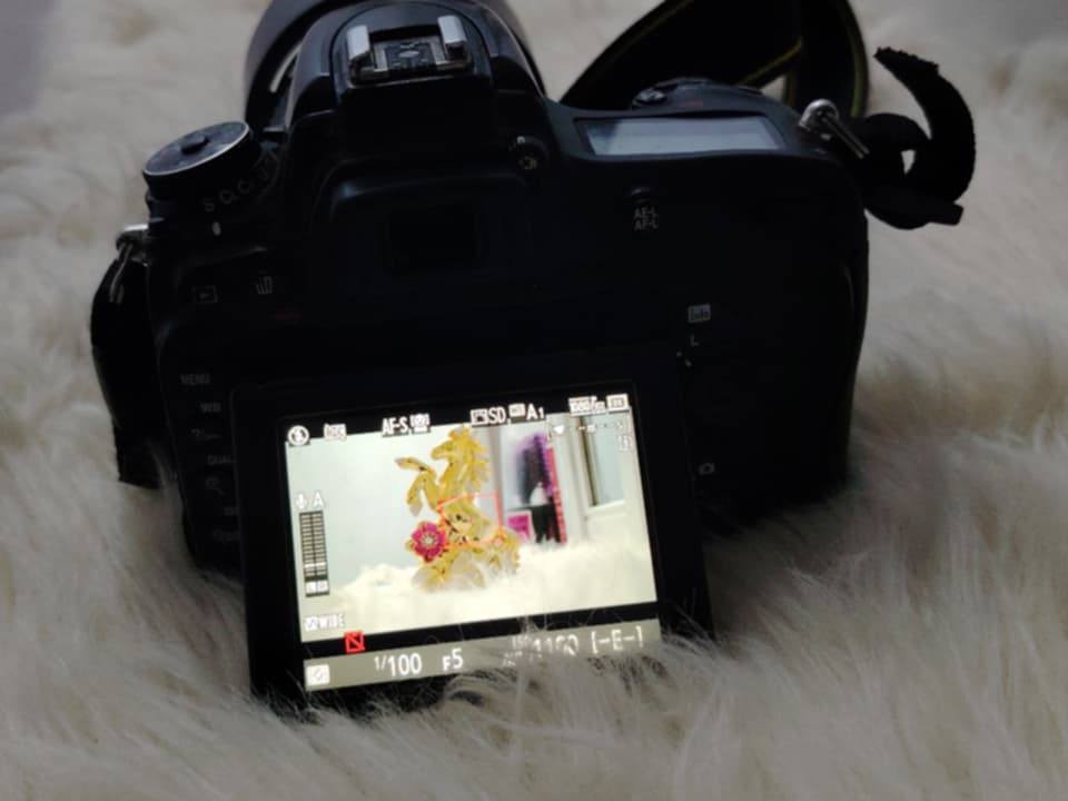 نيكون 750D وياها عدسه 18
عدسه نيكون 150-600 الاستفسار
 ***********
