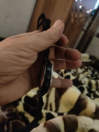 كارمن quatix 5 • زجاج سيفاير • ستانلس ستيل