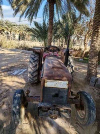 عنتر • رقم وسنوية • تحويل ثاني يوم