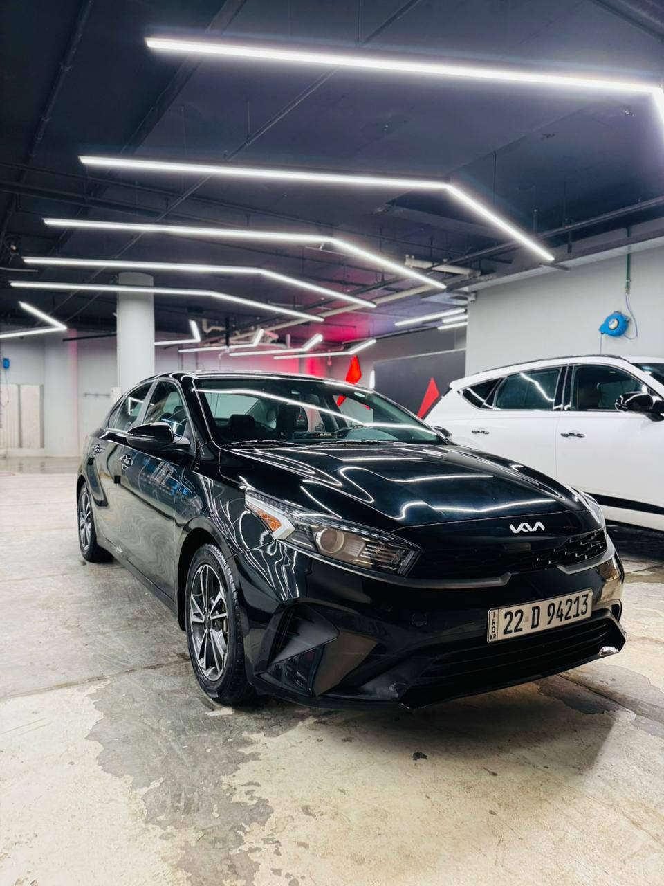 السلام عليكم 
للبيع فورتي موديل 23 رقم اربيل بأسمي سنويه لل 29
تقريرها محاولة سرقه بدون حادث بشرط حتى دعامياتها مكفوله من امريكا بيها اربع اطلاقات ناريه بصفحة السايق ومصلحه على كد مكانها كير مكينه مكفول وسياره حلوه وعلى ايدي مكينه دوش 2000 مكان السياره الحريه 
السعر 163 اتصل على الرقم 
*********** بي واتساب 
السياره ماشيه 38 مايل
