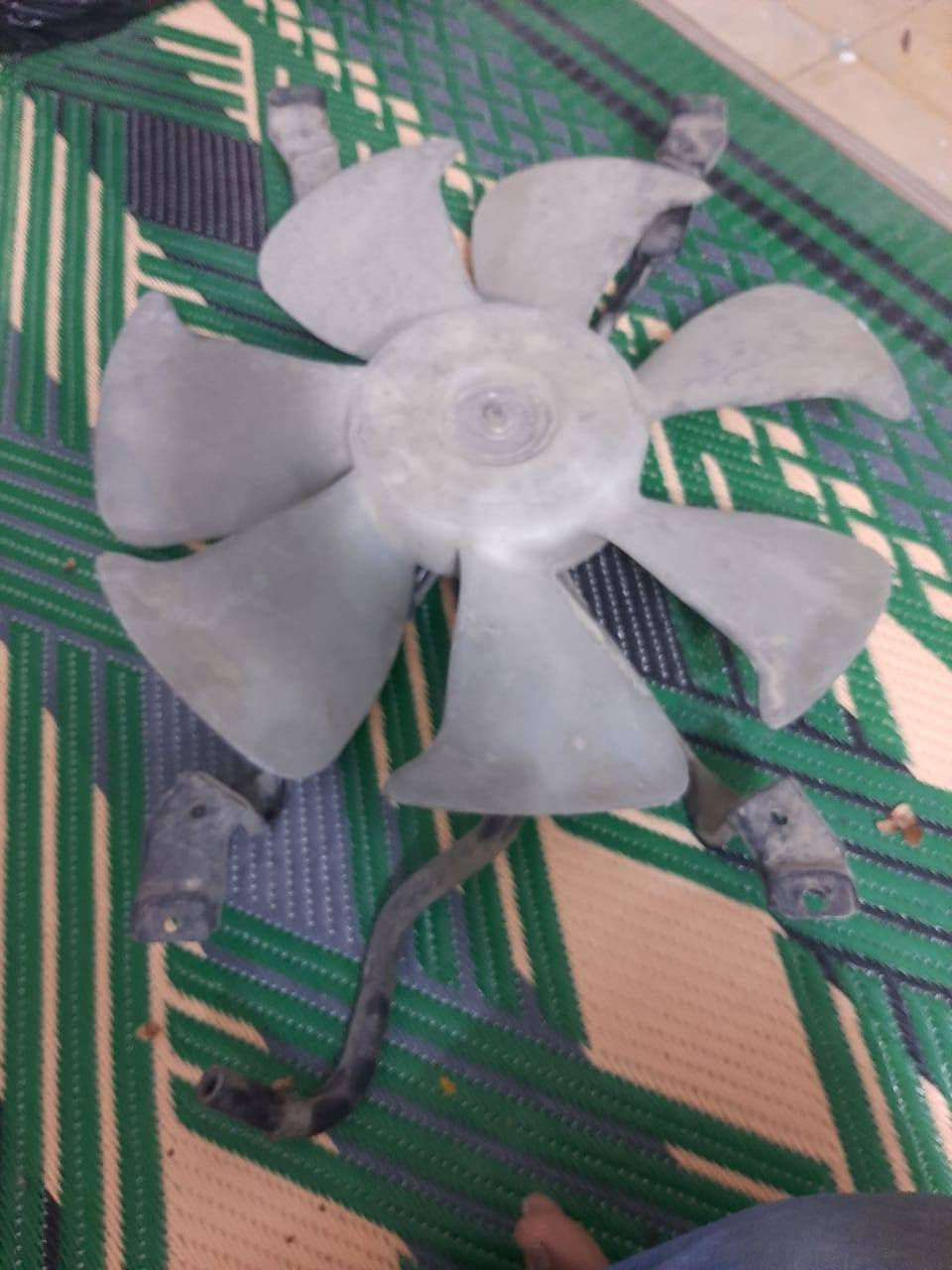 سلام عليكم غراض تيوته داينه و تيوته راس الثور   مكان بغداد المشتل *********** سيد ابراهيم
