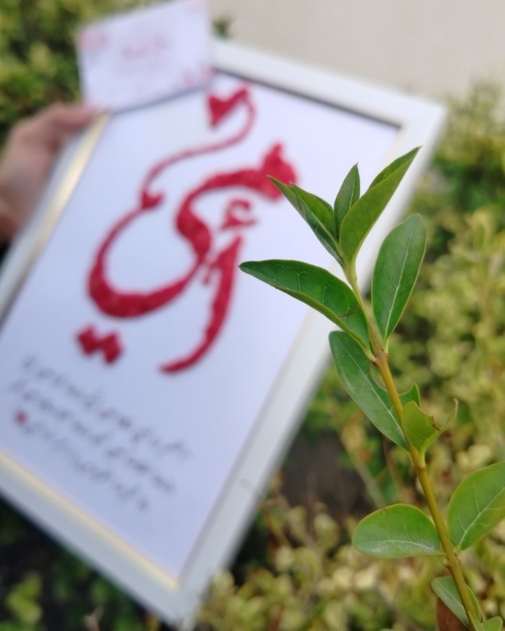 عررررض خاص 🤩
هدايا عيد الام  
اطار  باسم امك من الورد الطبيعي المجفف الدائمي يبقى ذكرى 
او اطار صورتها 
كل هل الجمال فقط ب 12 الف مع التوصيل  عرررض لمدة اسبوع 
توصيل جميع المحافضات   متوفر
احجز شنو منتضر


**إذا كنت صاحب هذا الإعلان وتريد حذفه لأي سبب، رجاءا أرسل رسالة إلى الدعم الفني**