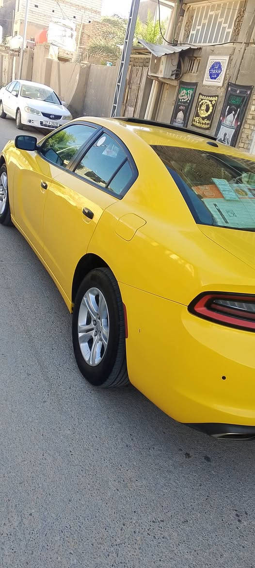 شاجر موديل 19بغداد اصل اجره تبديل مدكر وبنيد سياره جديد فول مواصفات واحد على واحد مكينه وكير وحداديه تخم تأير برجستون تبريد ويه السويج جاهزه تحويل مكان ناصرية غراف بيع مراوس 08711157914 بغداد, العراق


**إذا كنت صاحب هذا الإعلان وتريد حذفه لأي سبب، رجاءا أرسل رسالة إلى الدعم الفني**