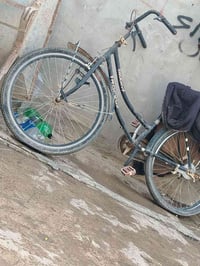 باسكل • نضيف • كركوك