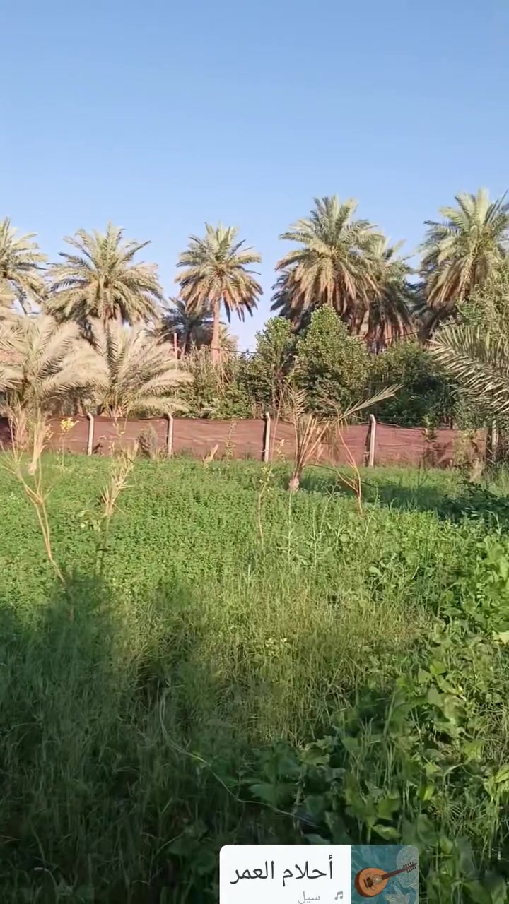 السلام عليكم المساحه نص دونم سند 25 الواجهيه 20 متر منطقه الامام عون شارع بغداد يبعد عن شارع بغداد كيلو وربع تبليط عن التبليط 150 متر والمدخل الثاني شارع السيده زينب كافه الخدمه متوفره سعر 130 مليون وقابل للتفاوض***********

