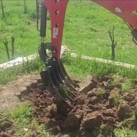 بۆ پاکردن و گیلانی باخ.  جالی مەجالی. مالان. 07705531668