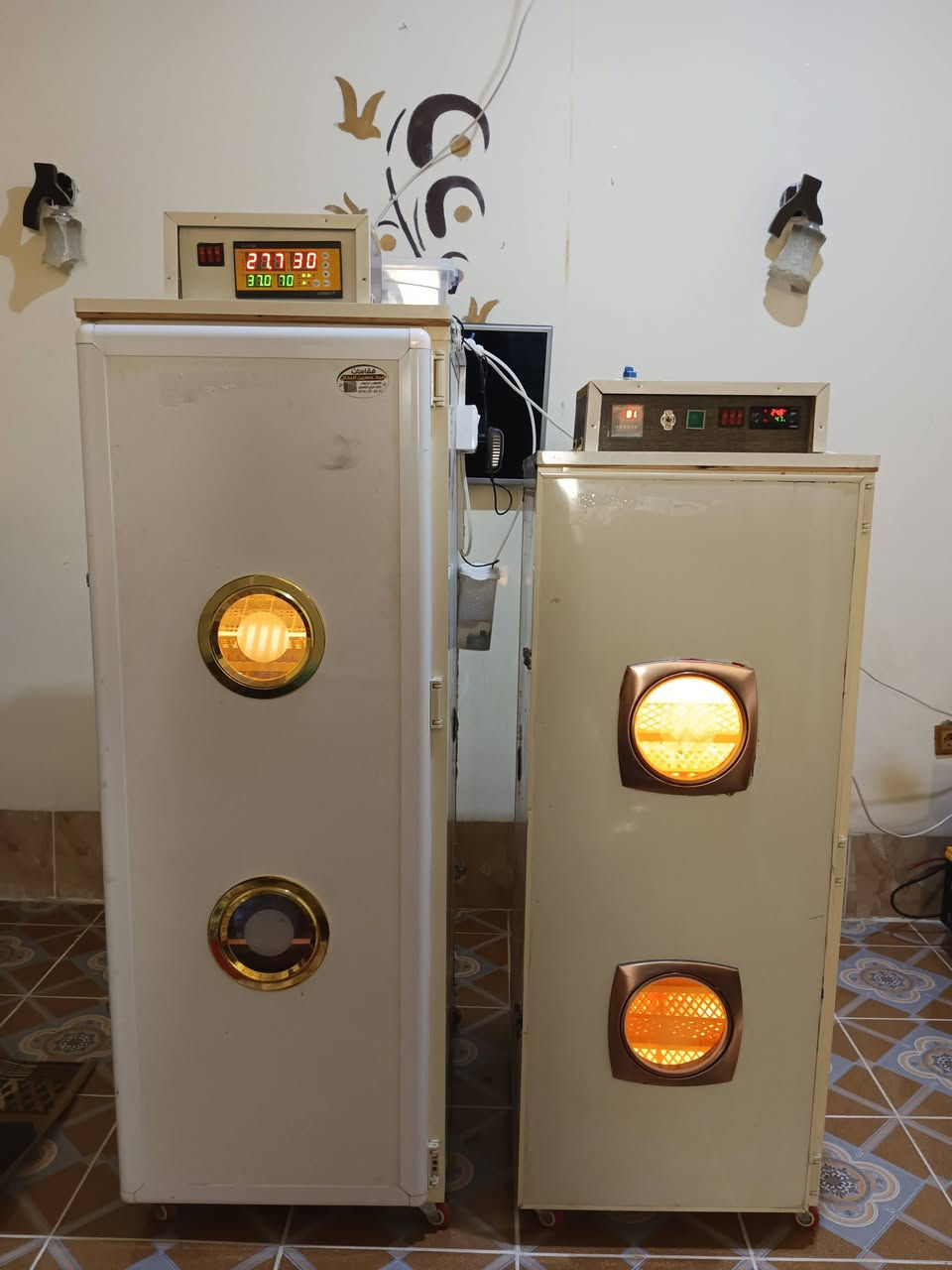 *********** 🐣🐣🐣
متاح مفاقس عدد2سعة كل مفقس 700+700بيضة سعركل مفقس 450الف فول اوتوماتيك مبخرة خارجية نضام هيتر انتاج معمل (سيد حسين النحال كركوك) نسبة تفقيس 85٪شرط التفقيس والفحص المكان كركوك روناكي غير متاح في الخاص الاتصال علا الرقم فقط
