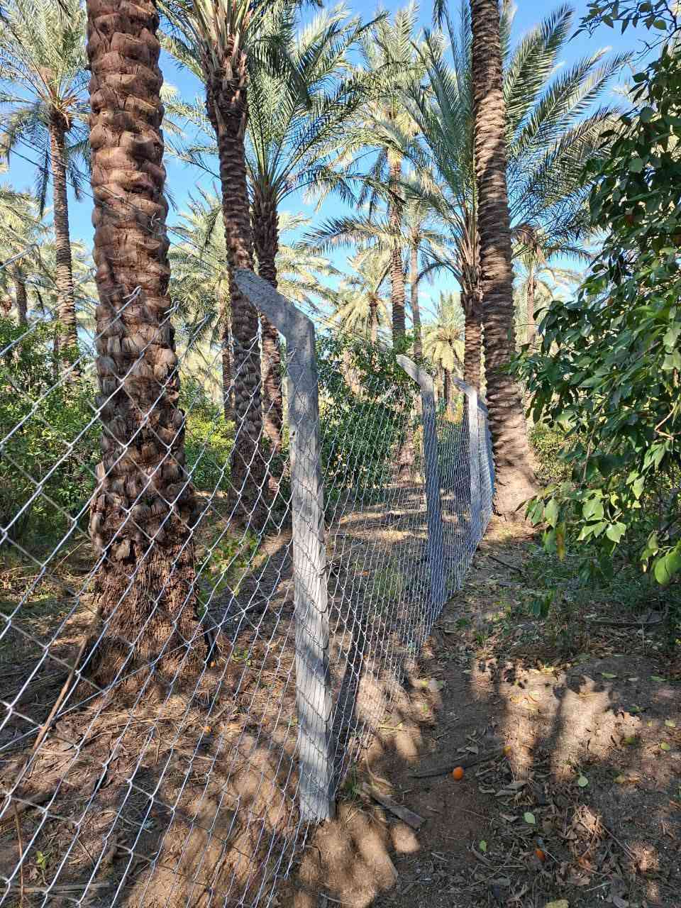 شركه الفجر تصميم وتنصيب اسيجه الBRS اول شركه  ومعمل في العراق
شركه الفجر تصميم وتنصيب اسيجه الBRS اول شركه  ومعمل في العراق 

   عمل ونصب الاسيجه ال بي ار سي BRC كرسته وعمل الأسعار حسب نوعيه سمك السيم 
نعمل جميع مساحات الأراضي 
نعمل جميع بساتين ونوعيه خاصه للبستان من حيث التسيج
نعمل جميع انواع الملاعب التارتان الخماسي 

للاستفسار الاتصال
‏‪***********‬‏ 

موقع الشركه 
بغداد الصليخ شارع ال٦٠٠ 

العمل في جميع محافظات العراق
