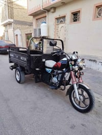 ستوته جمره • ستوته 2023 • جمره 2023 • ستوته فحل • ستوته للبيع • ستوته ...