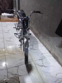 رابيدو • شاصي • اوراق اصولي