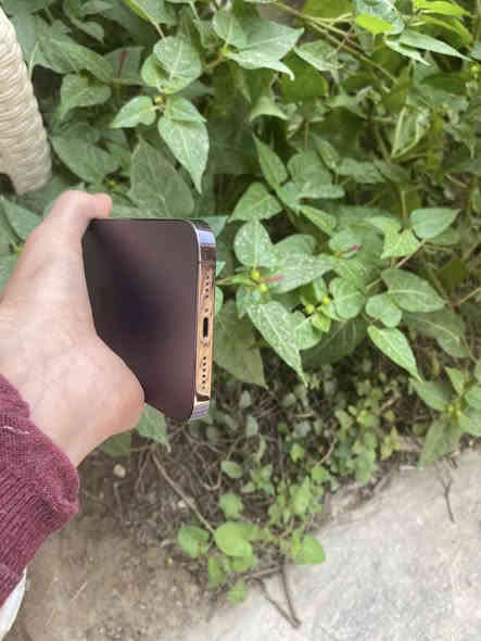 14 برو ماكس مامفتوح مكفول مكاني حله سعر 825 بي مجال بسيط *********** التفاصيل بالصور
