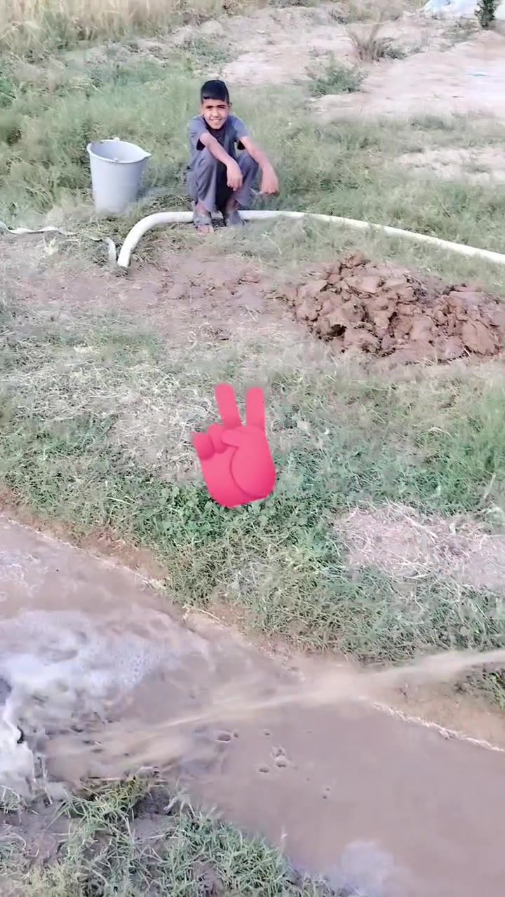 ***********
