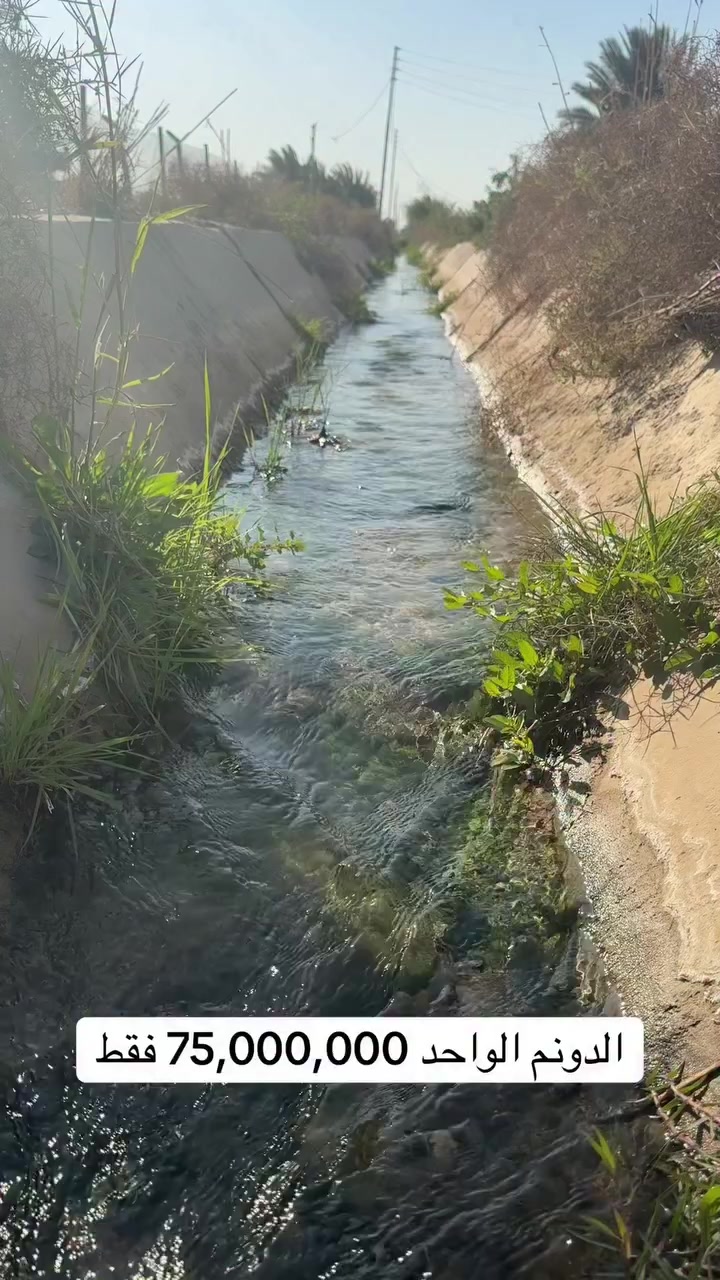 سعر الدونم الواحد 75,000,000 فقط داخل منطقة  #الدوره
***********_***********_***********

