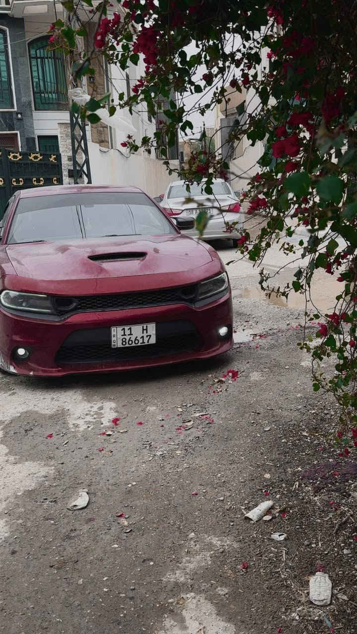 السلام عليكم للبيع او مراوس بg70 او g80
جارجر RT دايتونا 2017 5700
ماشيه100 الف حقيقي
المواصفات
فول عدا الفتحة والرادار
كشنات حظن أسود كنتارا شعار الدايتونا اصل
المقاعد الامامية كهرباء 
ذاكرة لحفظ وضعيات الجلوس
كشنات الامامية تدفئة تبريد 
كشنات الخلفية تدفئة 
ويل 20 SRT 
تشغيل عن بعد
شاشة واوبشات SRT 
4 انظمة قيادة
الشاشة جبيرة U connect تدعم كار بلي
مختمه بكل مكان دايتونا
شوته موبار SRT بلادي
كامرا خلفية 
الاكزوز بلادي فقط تفريغ
وباقي مواصفات الدايتونا معروفة
الاضافات
بلكات ريسنگ فيول بم
لويات ايباخ
داون بايب 
برمجة عقل وكير ومكينه مصطفى ايكل 
______________
الحادث : دعامية امامية وشوية من البدنة
صبغ جزء من البنيد وبيها بارد بدون تبديل اي قطعه

مكاني الحلة
ملاحظة: سياره مسويله سيرفس كامل ادمه منضومه الاحتراق + دهن جديد + باتري  جديد + بوليش 
بيها نقص زوج تايرات امامية فقط
رقم بغداد الجديد وسنوية وهزة جديدة تحويل ثاني يوم 
السعر  195
***********
