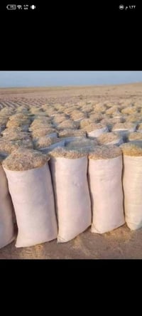 تبن أبيض • حله • توصيل محافظات