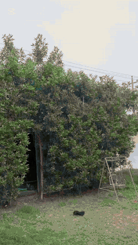 ✨ أطفالنا دايمًا يملؤون يومنا طاقة وفرح 
اليوم كانت أجواء مليانة نشاط وحماس، تعلموا، لعبوا، وشاركوا بكل حب 💕
نفخر بكل طفل رسم الابتسامة وشارك بروح جميلة 💫
كل يوم نكتشف معاهم شي جديد يخلينا نحب شغلنا أكثر 🩵

#روضتنا_الجميلة #اطفالنا_سعادتنا #تعلم_ولعب
توجد لدينا كاميرات أون لاين تكدرين شوفين اطفالج وانتي بالبيت 
مع وجبة غداء مجانيه كادرنا متخصص بالمنتسوري 
يوجد لدينا شفتين صباحي ومسائي ونستقبل أطفال من عمر شهرين إلى عمر 6 سنوات 
توجد لدينا خطوط داخل أنحاء الفلوجه فاهلا وسهلا بكم اطفالنا الحلوين 

عنواننا الفلوجه حي نزال شارع السد مقابل مطعم غصن الزيتون 

***********
***********
