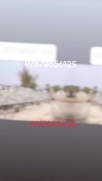 شغل درجة اولى • بابل • اساس 50×50