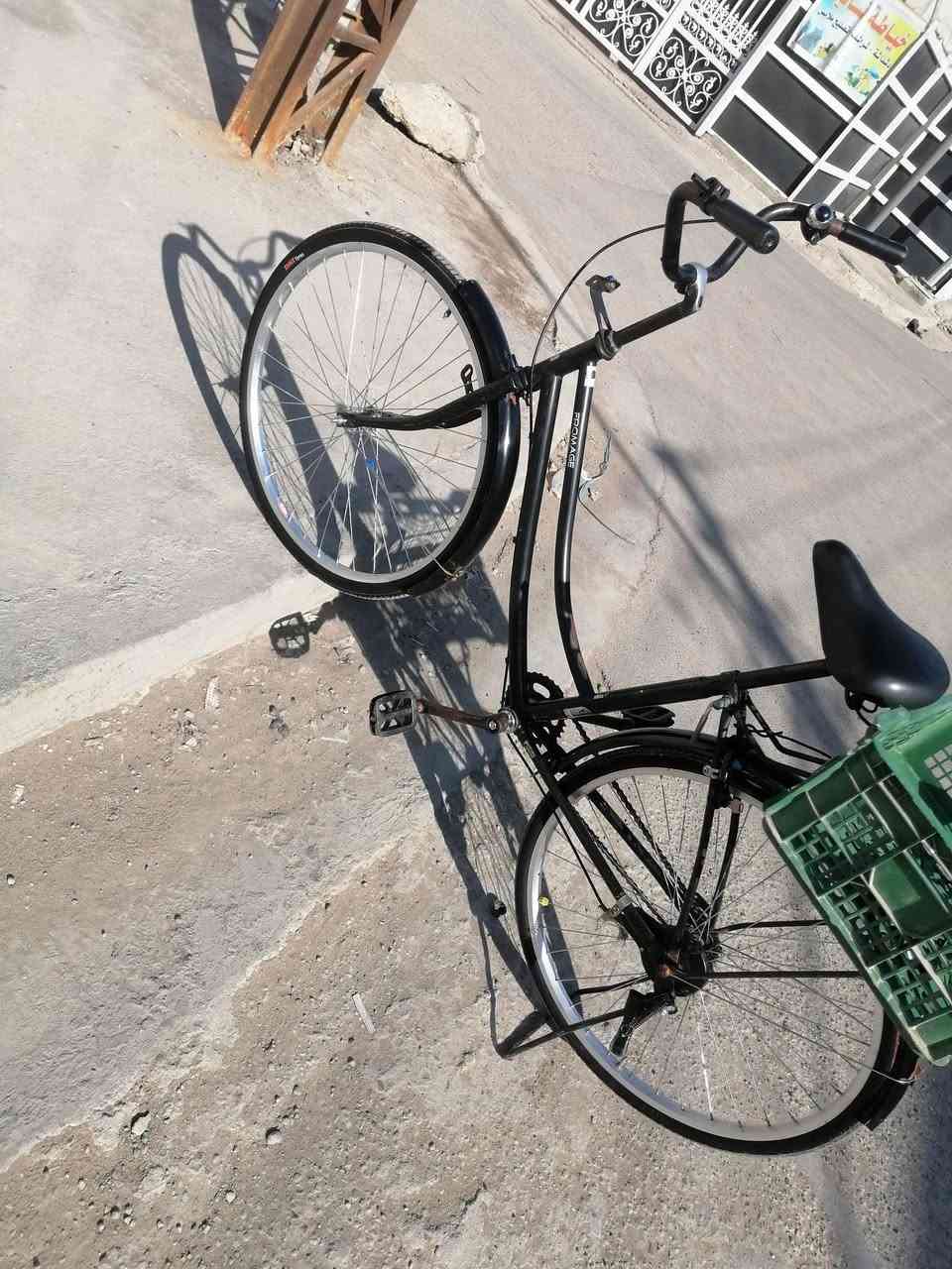 سلام عليكم خوان باسكل بناتي اسود 26 حجم امرتب اريد ابيعيه موديل 21 سعر 70 بي مجل حك جيه مكاني بغداد زعفرانيه ستفسار عله هاذه رقم***********
