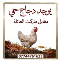 دجاج حي • تجهيز مناسبات • قرب أهل القرآن
