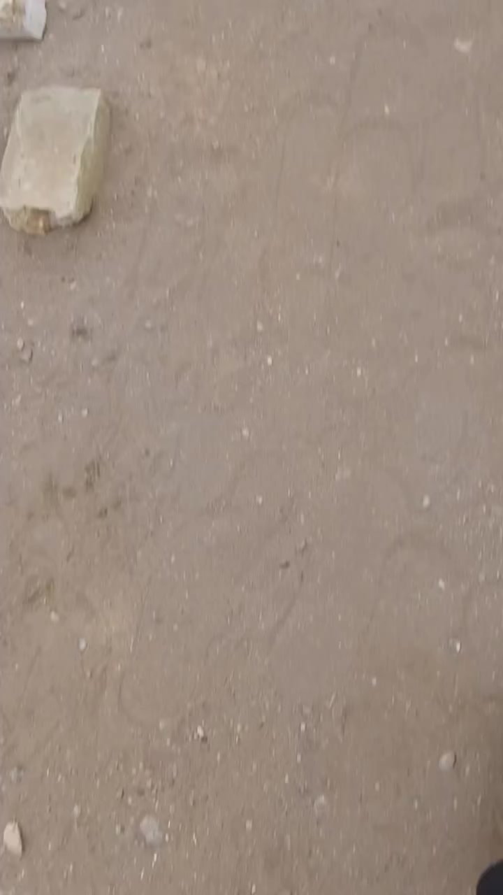 للبيع زواجل صغار ٤ ملقحات وكاملات زوج ب ٢٠ مكان بغداد الشعب متواجد خاص


**إذا كنت صاحب هذا الإعلان وتريد حذفه لأي سبب، رجاءا أرسل رسالة إلى الدعم الفني**