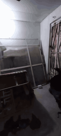 للبيع باب جام مال أسواق سنتر ارتفاع مترتين 35 الجام كله نظيف مابي فطر مكان خمسه ميل بني سكين 
***********
