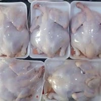 اخر 5 دجاجات ذبح اليوم وزن الوحده كيلوين و400 سعر الوحدة 9 مع التوصيل ...