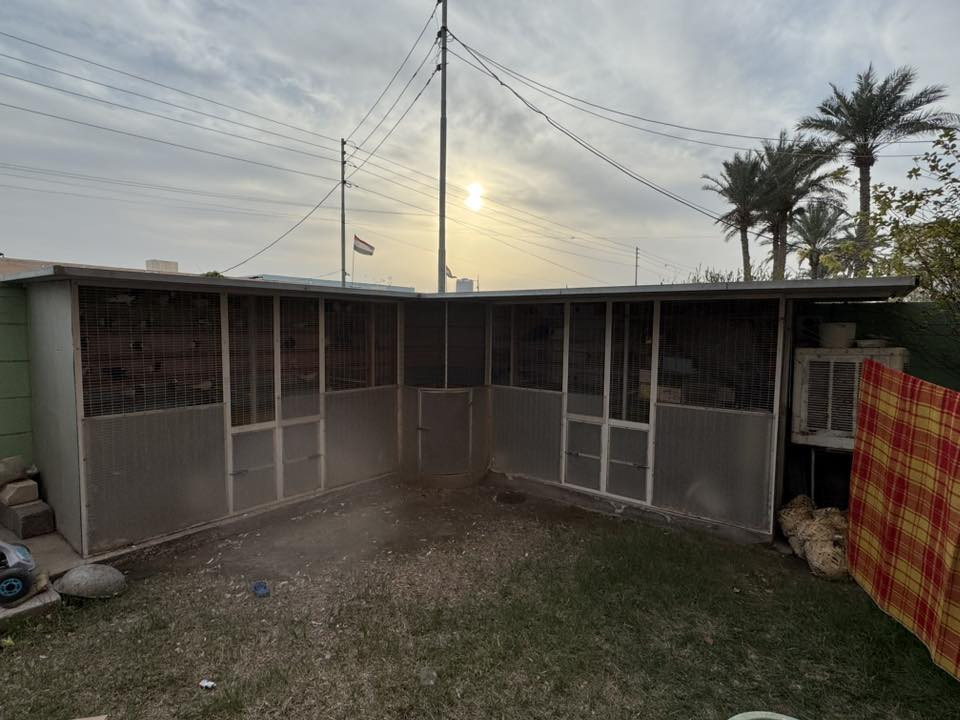 للبيع$
قفص أو برج يصلح لطيور الزينة أو لتبرير الحمام مساحة الجهة الواحدة 3امتار والمنتصف نصف دائري ارتفاع 2متر حديد ثقيل وسقف سندويج مقسم خمس أبراج في متر ونص رقم تليفون *********** اتصل وتدلل المكان الأسكندرية الإسكان الصناعي
