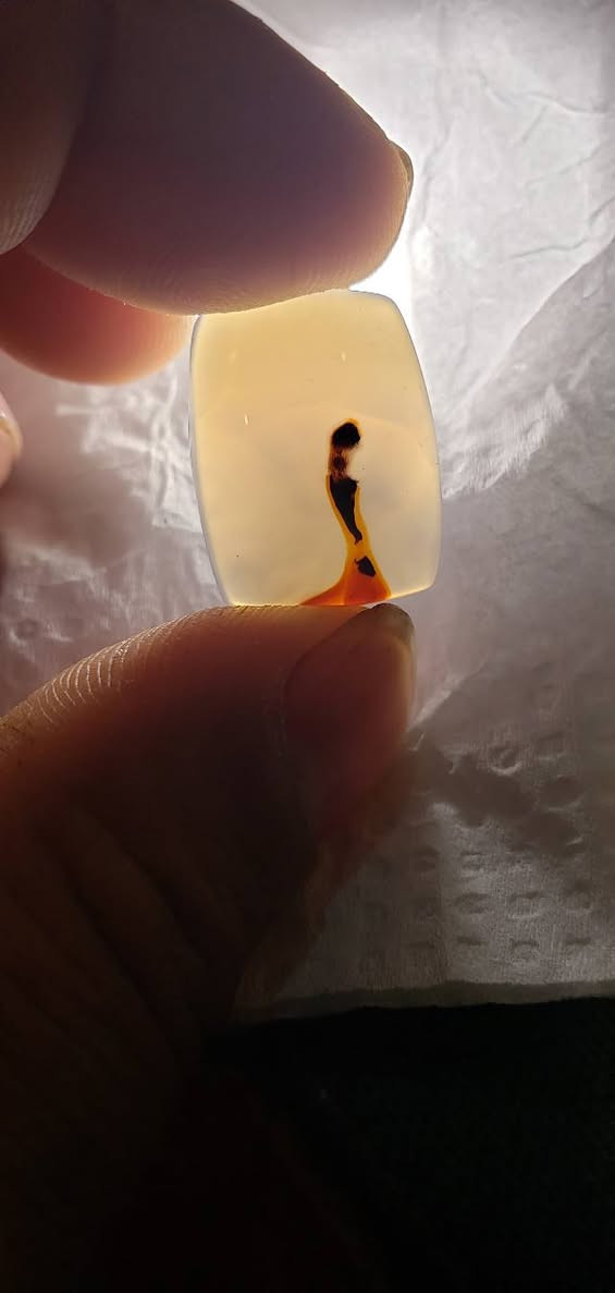 مصور صريح البيع مفرد


**إذا كنت صاحب هذا الإعلان وتريد حذفه لأي سبب، رجاءا أرسل رسالة إلى الدعم الفني**