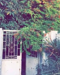 بابل ابو خستاوي • ١٠٠م • غرفة وصالة