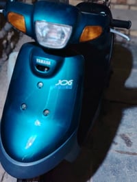 بطة • حاوية • سعر خاص