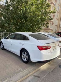 ماليبو • ٢٠١٧ • بدون صبغ