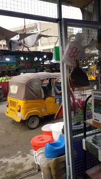 محل للايجار بنص سوك بغداد جديدة للفواكه والخضر ايجاره ٤٥٠ مساحته ١٥ ف ...