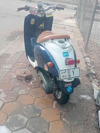 دراجة مصرية • ناصرية حي الشهداء • عبد الحليم العدوان