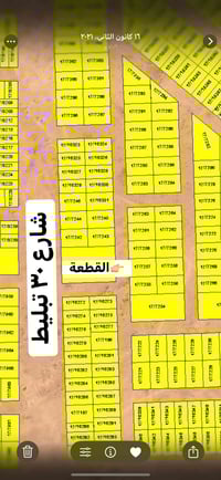 الديوم • ٣٠٠م • مطلة على حديقة