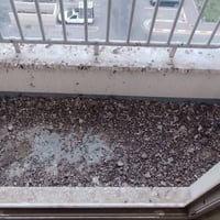 تنضيف وتعطير • شقة ١٠٠م • بلوكB1