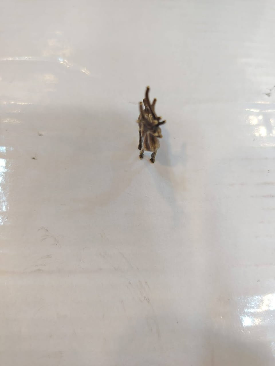 السلام عليكم عندي هاي القطع انتيكات.
حلوة حط سعر وادخلك خاص.؟


**إذا كنت صاحب هذا الإعلان وتريد حذفه لأي سبب، رجاءا أرسل رسالة إلى الدعم الفني**