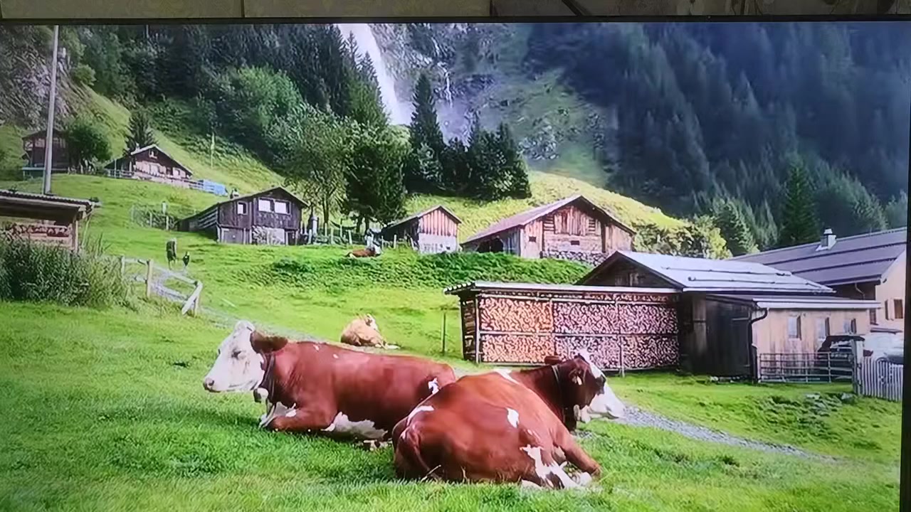 السلام عليكم بلازما حجم 50 جيبسون مستخدمه قليل بعدها بالكارتونه نت فول مواصفات...بيها خطين بالنص كلش خفيفات مايبين بالصورة ابد .بغداد مدينة الصدر..السعر 190..دبل ريمونت


**إذا كنت صاحب هذا الإعلان وتريد حذفه لأي سبب، رجاءا أرسل رسالة إلى الدعم الفني**