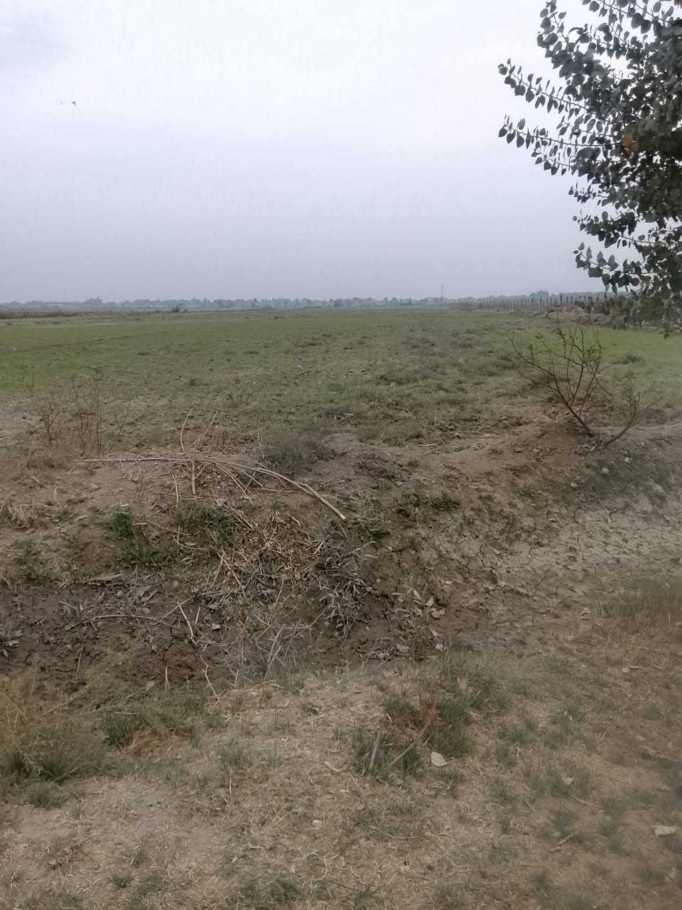 ارض زراعيه للبيع مساحه 4دونم طابو زراعي مباشره  تحويل تبعد عن الشارع العام حله ديوانيه ٤كليو منطقه الجذع للاتصال أو الاستفسار ***********
