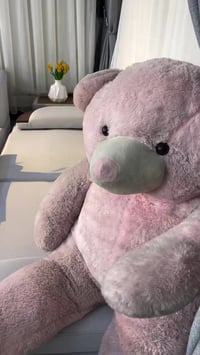 عرض خاص صاله كامله تخم عدد 10 مقعد +ستائر لون من اختياركم +اكسسوارات +...