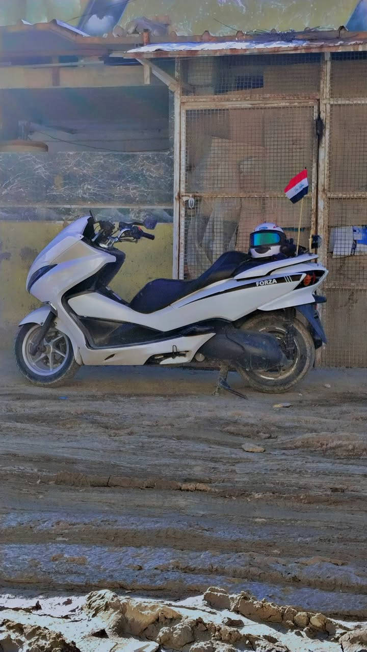سلام عليكم دراجه فورزا 0/10 للبيع بيه إضافات جنط صفح وجنطه خلفيه ام بي ثري دبل سماعه وجه بومه منضومه زنون لون احمر دراجه مكفوله من تاير لتاير مكاني بابل الحله *********** وتساب
