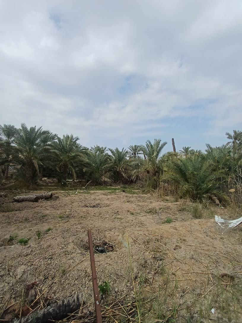 ارض للبيع مساحة 1150متر طابو عراقي سهم تحويل ابوالخصيب حمدان قريب للشارع السياحي الداخلي موقع جدا حلو شارع ٩متر تبليط نهر جاري ***********# ابو الخصيب, البصرة
